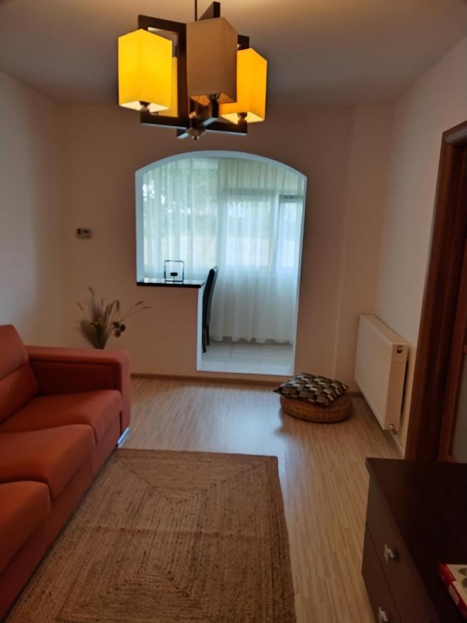 Chic Apartment Пітешть Екстер'єр фото